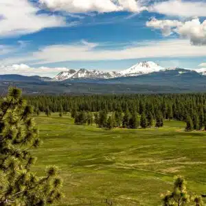 Mt. Lassen Over Fields and Trees
